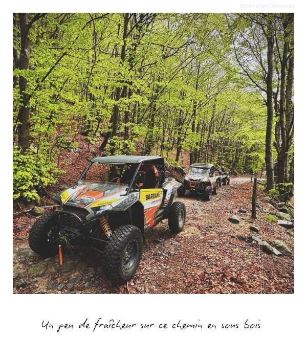 Passage en sous bois lors de la sortie quad en Ardèche