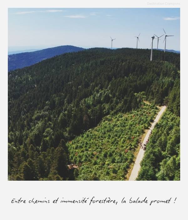 Vue du ciel d'une randonnée quad tout-terrain dans l'immensité de la forêt de la Haute-Loire