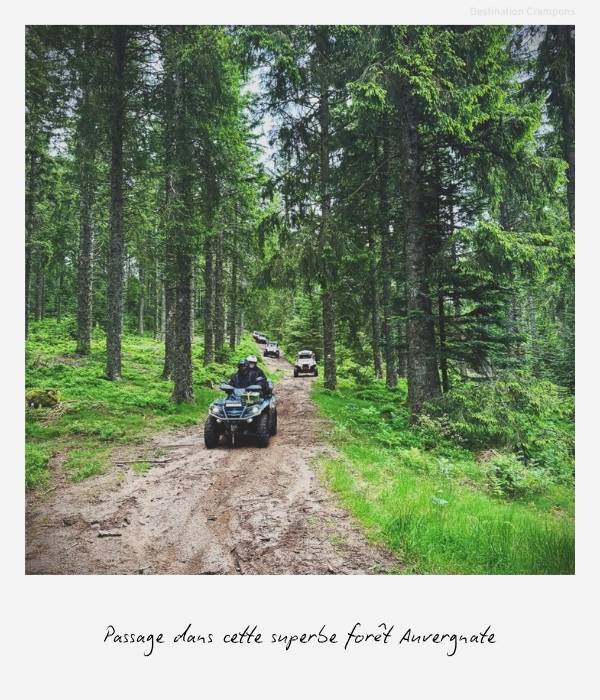 Passage en quad et ssv dans un forêt auvergnate majestueuse
