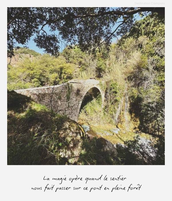 Polaroid Pont en pierre en Grèce : "La magie opère quand le sentier nous fait passer sur ce pont en pleine forêt"