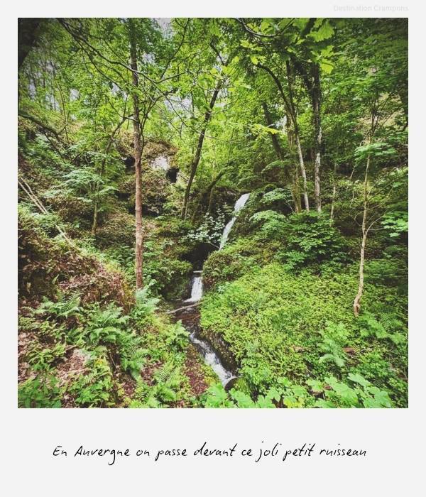 la beauté du ruisseau caché du paysage forestier en Auvergne