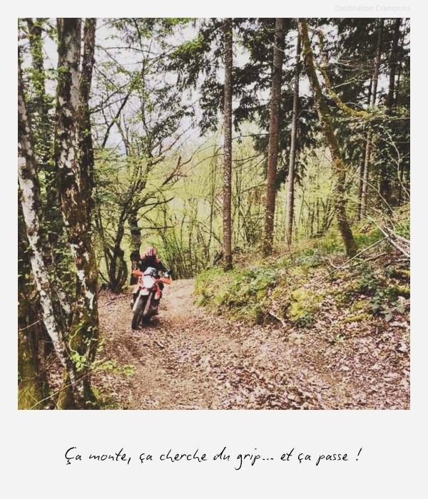 Polaroid montée trail en forêt : "Ça monte, ça cherche du grip... et ça passe !"