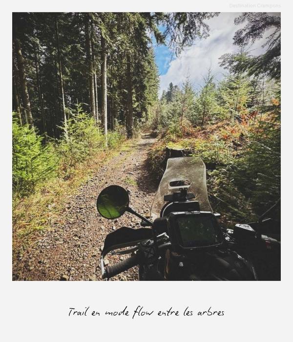 Polaroid randonnée Beaujolais-Bourgogne : "Trail en mode flow entre les arbres"